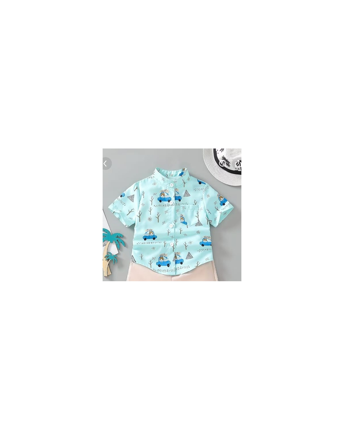 Boys Printed Top and Shorts Set