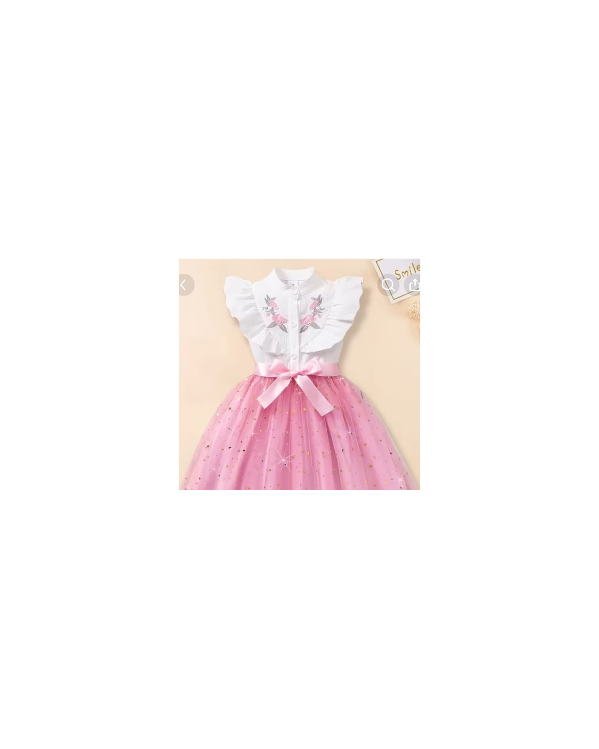 Girls Star Print Embroidered Mesh Dress